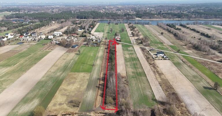 Działka, 8 800 m², Nowe Rumunki